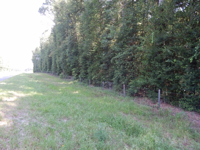 US Hwy 129 & 180th Street, McAlpin, FL 32062