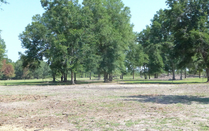 400 NE BLACKBERRY ROAD, Mayo, FL 32066