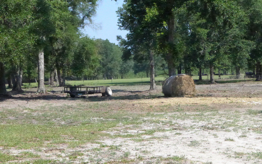 400 NE BLACKBERRY ROAD, Mayo, FL 32066