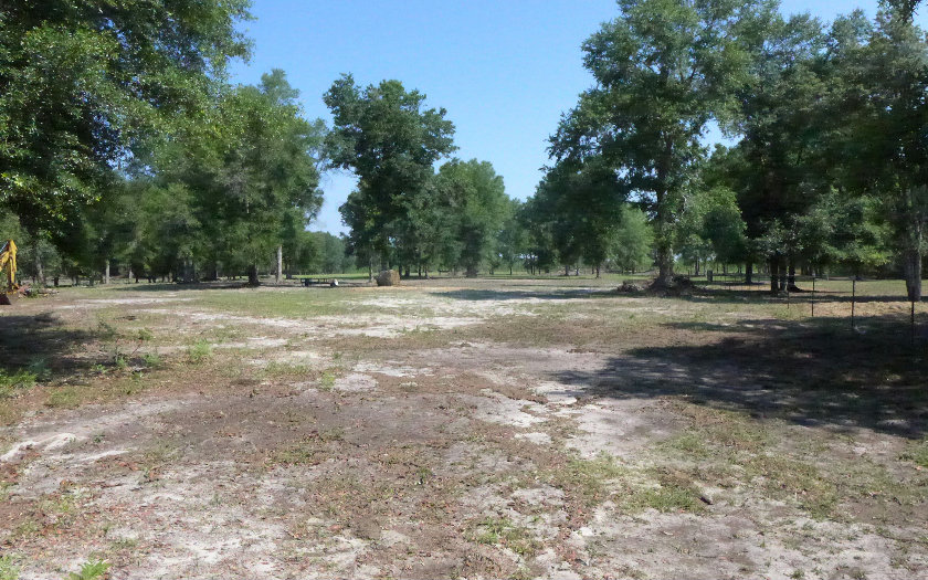 400 NE BLACKBERRY ROAD, Mayo, FL 32066