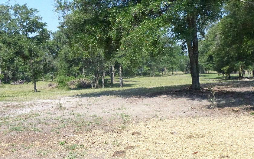 400 NE BLACKBERRY ROAD, Mayo, FL 32066