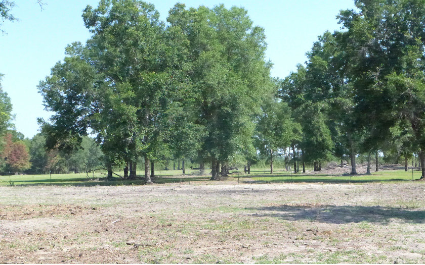 400 NE BLACKBERRY ROAD, Mayo, FL 32066