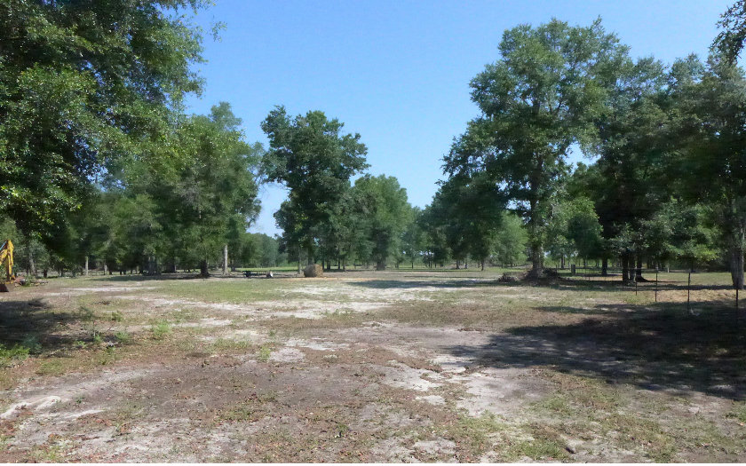 400 NE BLACKBERRY ROAD, Mayo, FL 32066