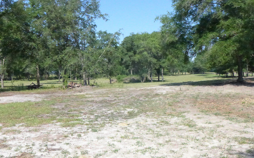 400 NE BLACKBERRY ROAD, Mayo, FL 32066