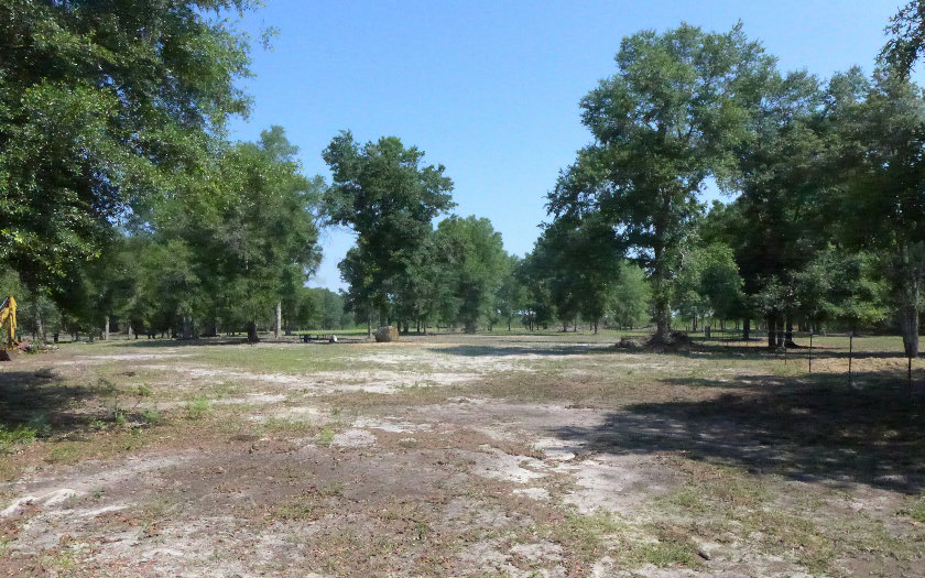 400 NE BLACKBERRY ROAD, Mayo, FL 32066