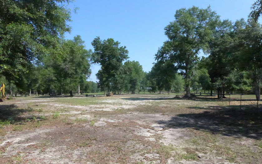 400 NE BLACKBERRY ROAD, Mayo, FL 32066