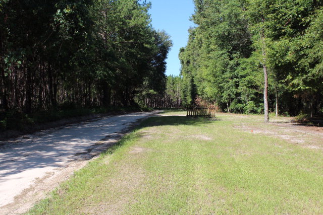 733 Foster Lane, Mayo, FL 32066