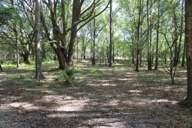 733 Foster Lane, Mayo, FL 32066