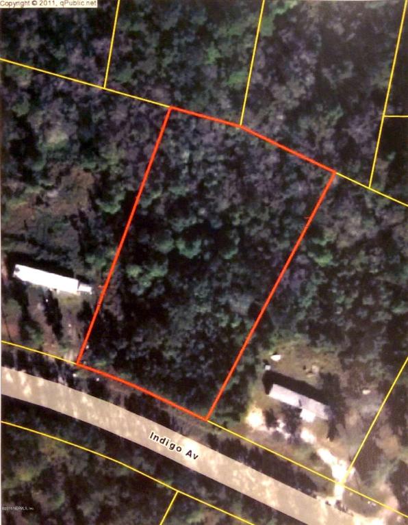 2379 INDIGO AVE, Middleburg, FL 32068