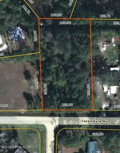 4816 CALENDULA AVE, Middleburg, FL 32068