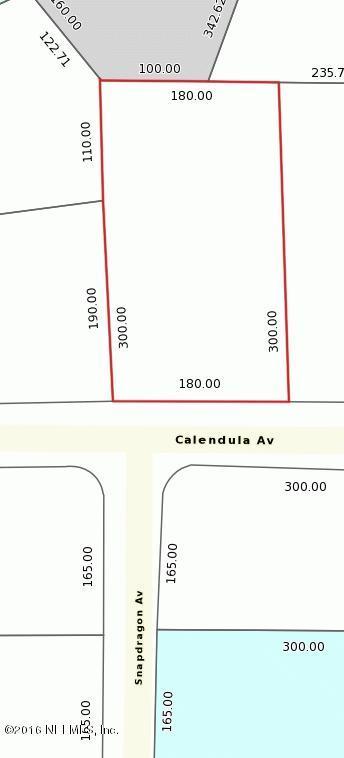 4816 CALENDULA AVE, Middleburg, FL 32068