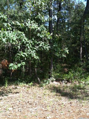 00 Mustang Rd, Middleburg, FL 32068