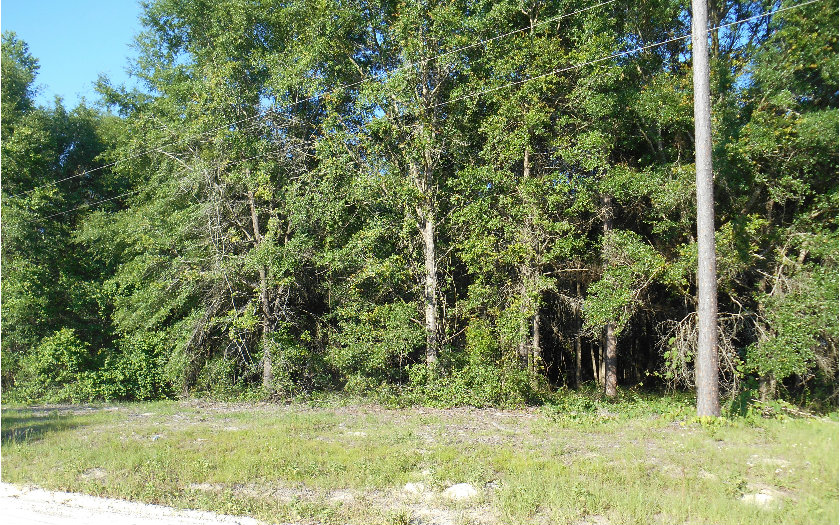 TBD 131 DR, OBrien, FL 32071