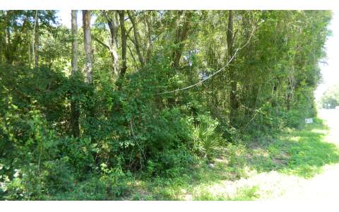 TBD CR 349 E, OBrien, FL 32071