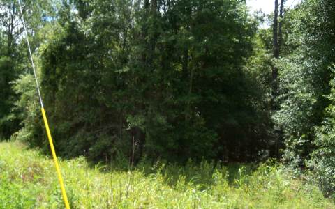 TBD US 129, OBrien, FL 32071