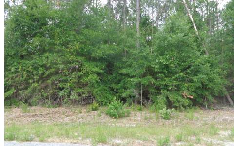 49TH RD, OBrien, FL 32071