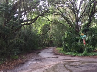 2505 Oleander St., St. Augustine Beach, FL 32080