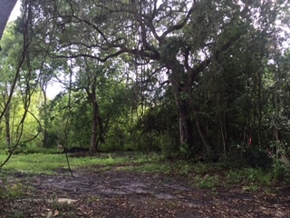 2505 Oleander St., St. Augustine Beach, FL 32080
