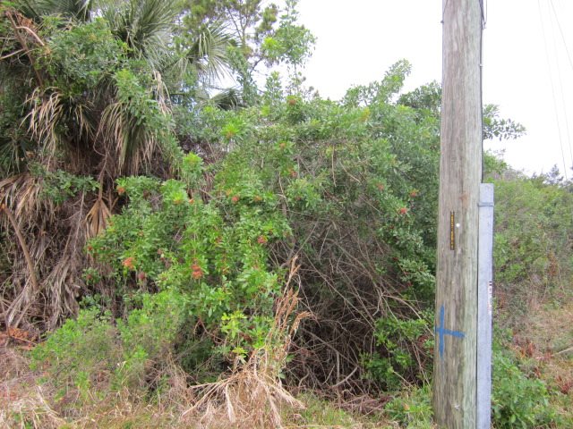 5399 3rd Street, St. Augustine, FL 32080