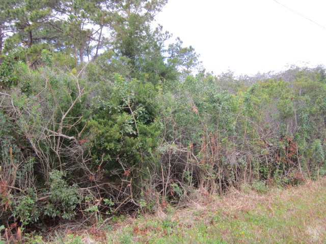 5399 3rd Street, St. Augustine, FL 32080
