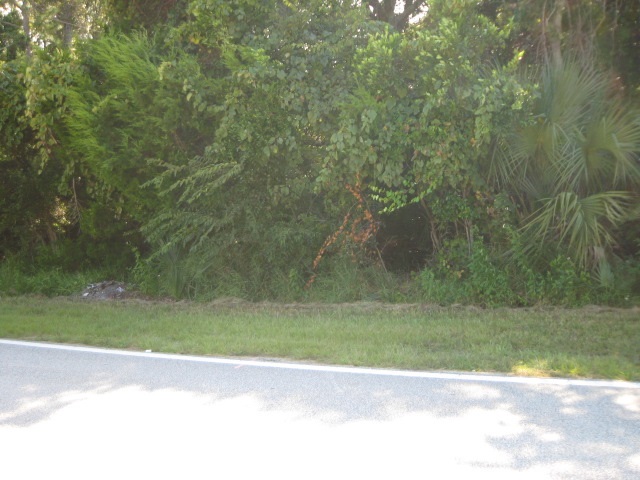 311 Cortez drive, St. Augustine, FL 32086