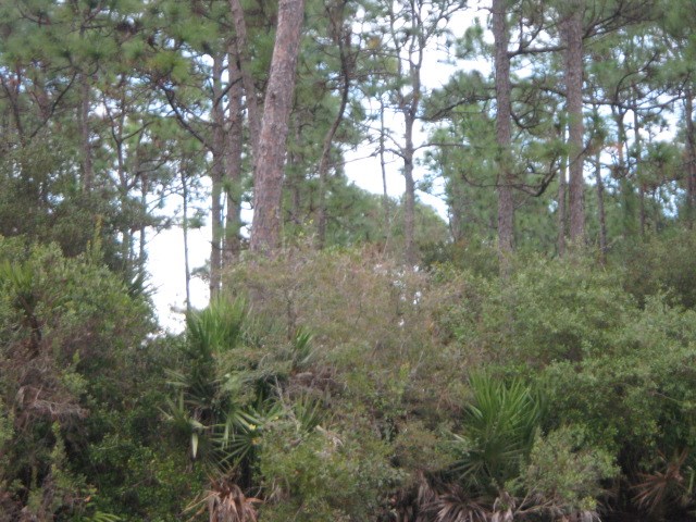 319 Cortez Drive, St. Augustine, FL 32086