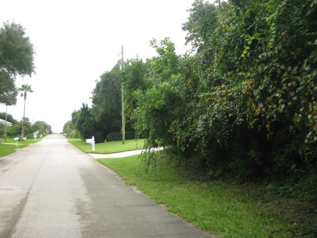 319 Cortez Drive, St. Augustine, FL 32086