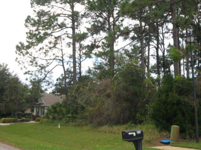 323 Cortez Drive, St. Augustine, FL 32086