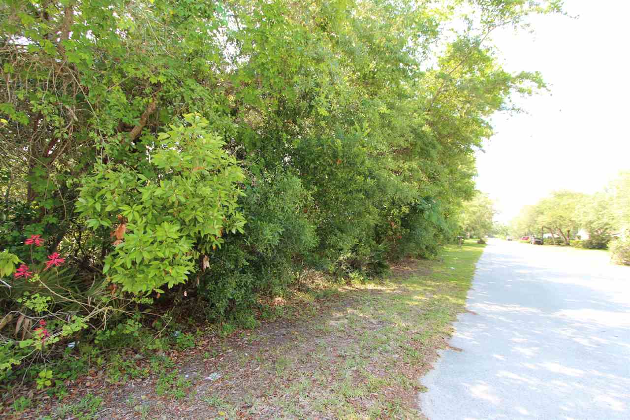 0 Gentian Rd 100' Lot, St. Augustine, FL 32086