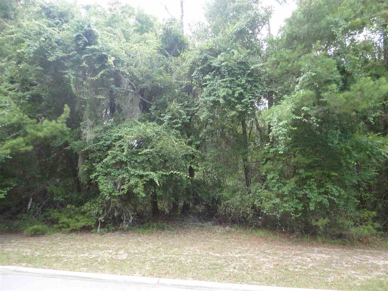 321 Old Plantation Drive, St. Augustine, FL 32086
