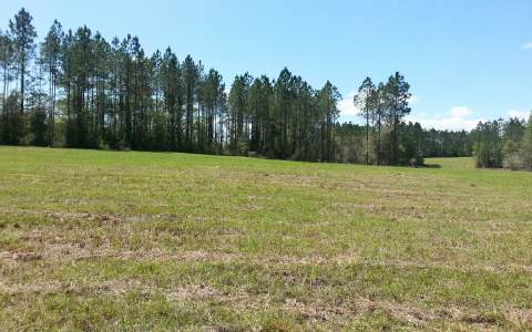 15658 71ST PASS, Wellborn, FL 32094