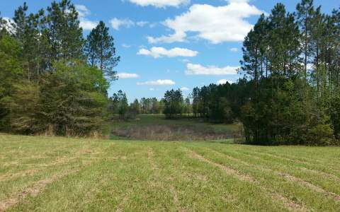 15658 71ST PASS, Wellborn, FL 32094
