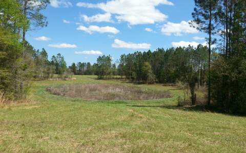 15658 71ST PASS, Wellborn, FL 32094