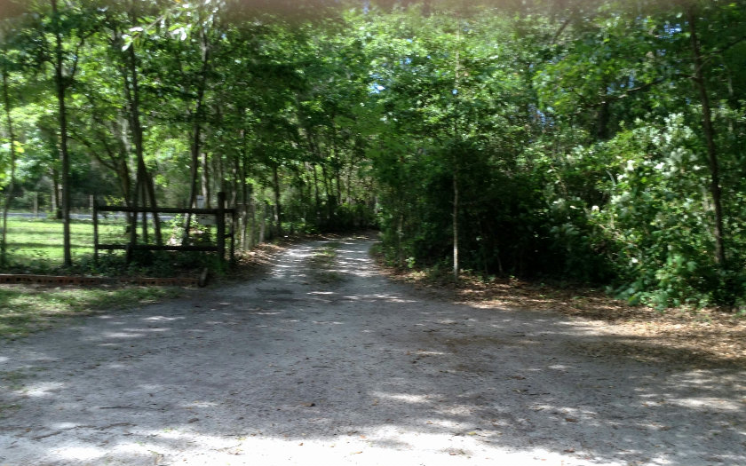 13008 CR 137, Wellborn, FL 32094
