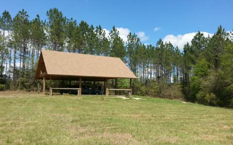 15658 71ST PASS, Wellborn, FL 32094