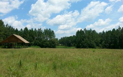 15658 71ST PASS, Wellborn, FL 32094