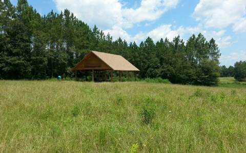 15658 71ST PASS, Wellborn, FL 32094