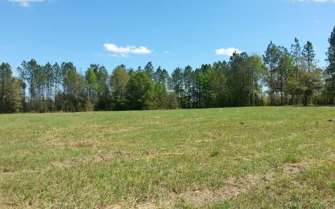 15658 71ST PASS, Wellborn, FL 32094
