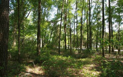 NW TIGER DRAIN ROAD, White Springs, FL 32096