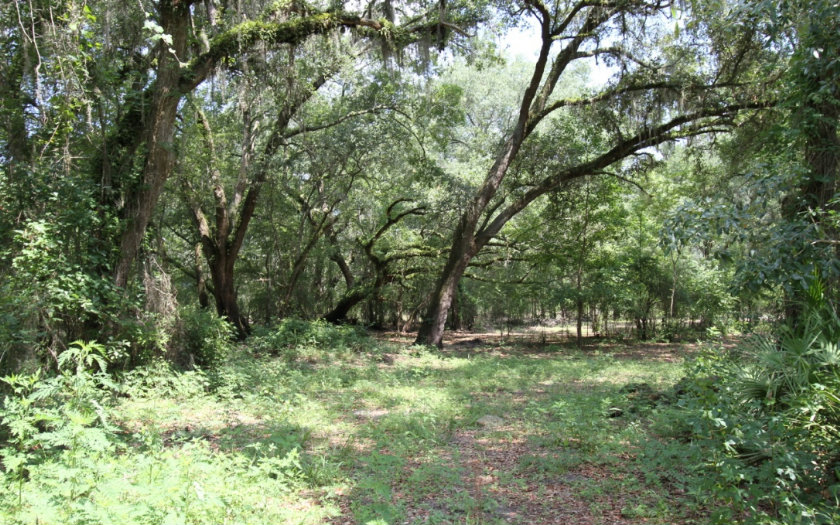 124 NW VIOLET GLEN, White Springs, FL 32096