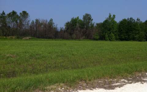 11.05 AC SE 140TH COURT, White Springs, FL 32096