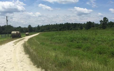 11.05 AC SE 140TH COURT, White Springs, FL 32096