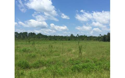 11.05 AC SE 140TH COURT, White Springs, FL 32096