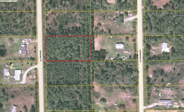 1693 Hazelnut Street, Bunnell, FL 32110