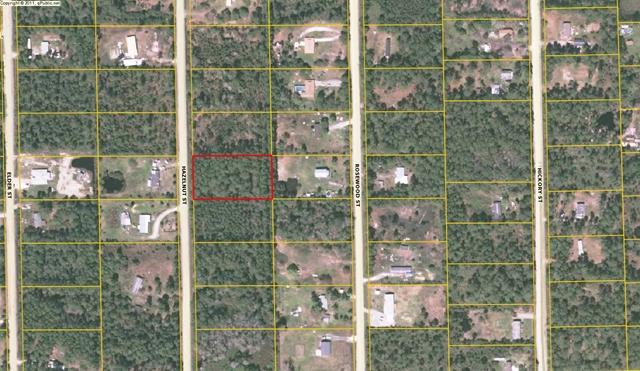 1693 Hazelnut Street, Bunnell, FL 32110
