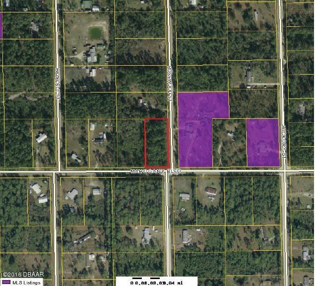 4604 MAHOGANY Boulevard, Bunnell, FL 32110