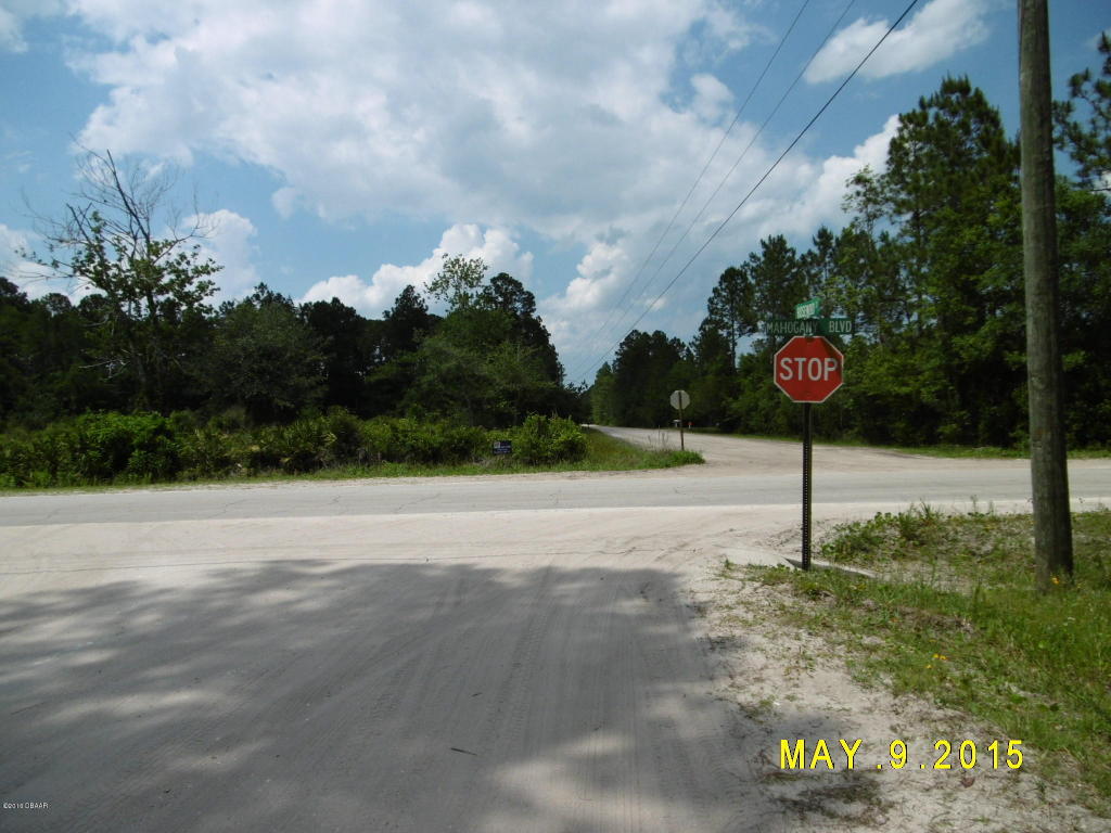 4604 MAHOGANY Boulevard, Bunnell, FL 32110