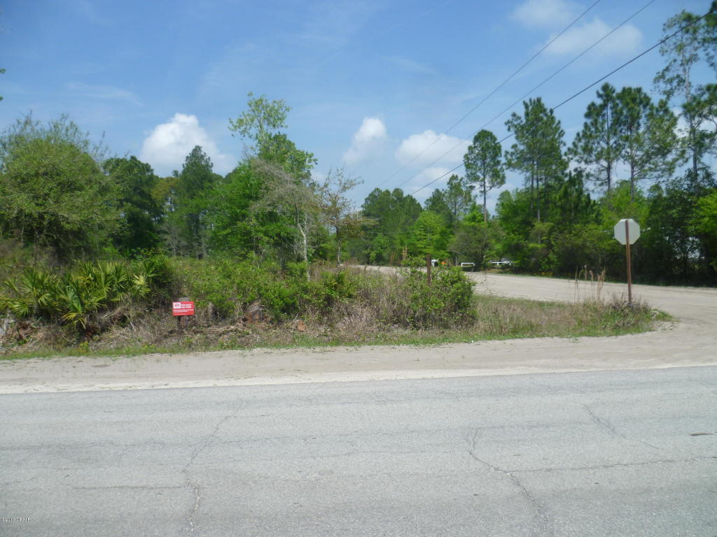 4604 MAHOGANY Boulevard, Bunnell, FL 32110