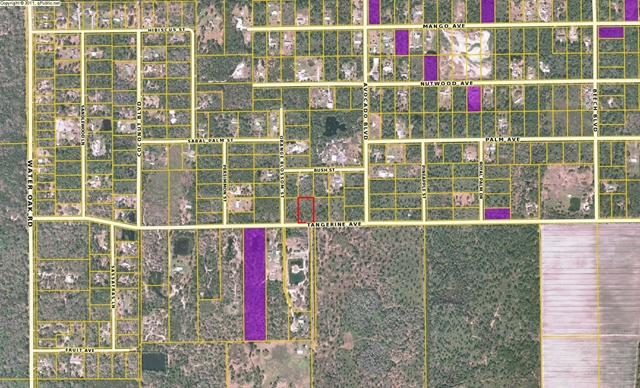 6118 Tangerine Ave, Bunnell, FL 32110