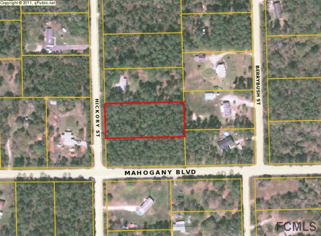 1451 Hickory St, Bunnell, FL 32110